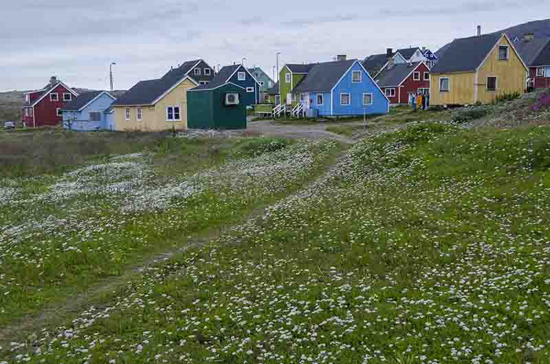 185 - Groenlandia - Narsaq